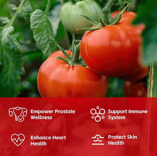 What Makes Best Lycopene Supplement Stand Out in a Crowded Market?