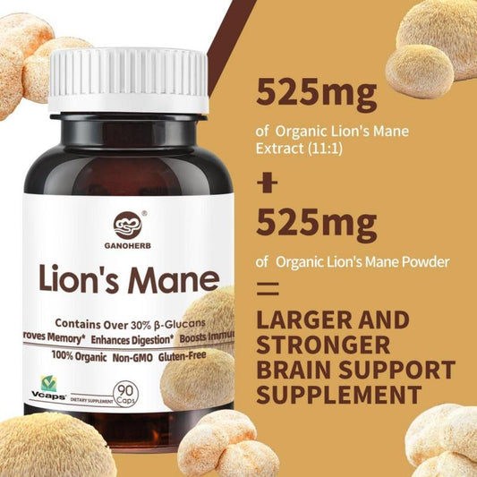 Organic Lion's Mane Extract Capsules for Memory, Focus, Cognitive & Immune Support