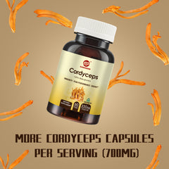 Cordyceps Militaris Capsules with 31% Beta Glucan for Performance,