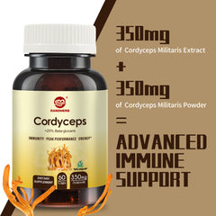 Cordyceps Militaris Capsules with 31% Beta Glucan for Performance,