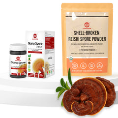 Reishi Mushroom Capsules and Reishi Mushroom Powder