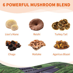 Reishi Mushroom Black Coffee and Mushroom Complex Capsules