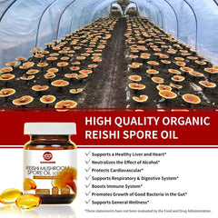 Reishi Lycopene Capsules and Reishi Spore Oil Softgels