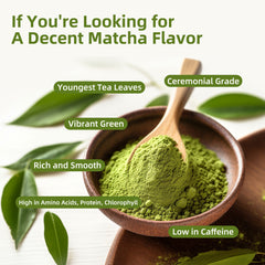 Mushroom Matcha Powder Latte Mix, 7.4 Ounce, 7 Superfood Mushrooms with 25% Beta-Glucans